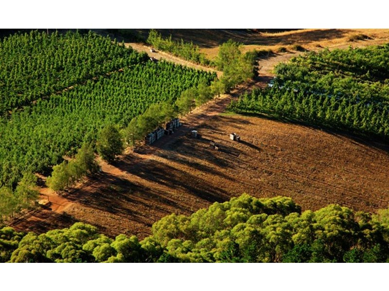 Lt 101 Mawson Road, Lenswood SA 5240