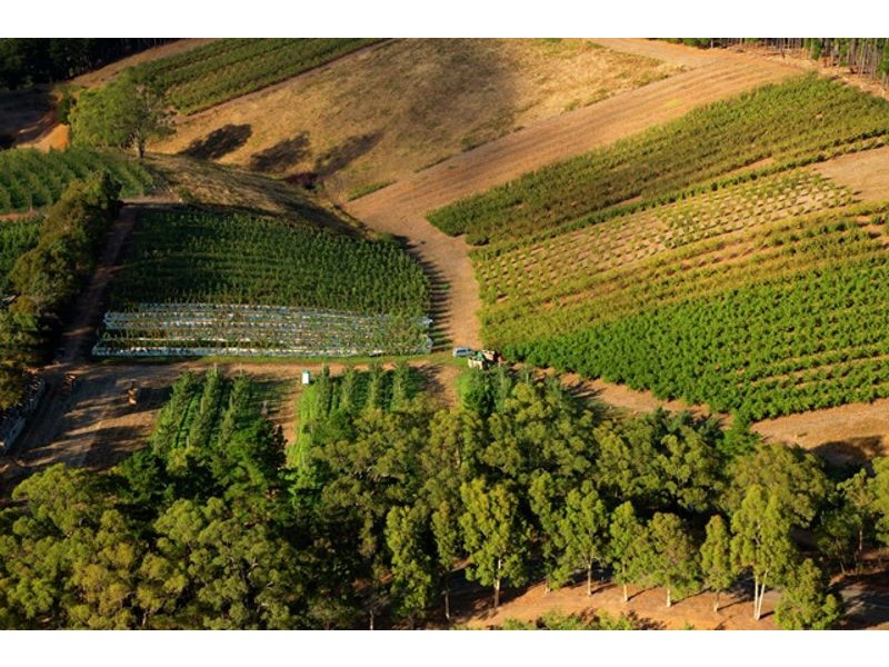 Lt 101 Mawson Road, Lenswood SA 5240