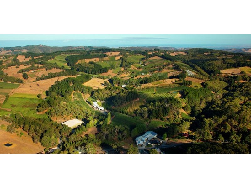 Lt 101 Mawson Road, Lenswood SA 5240