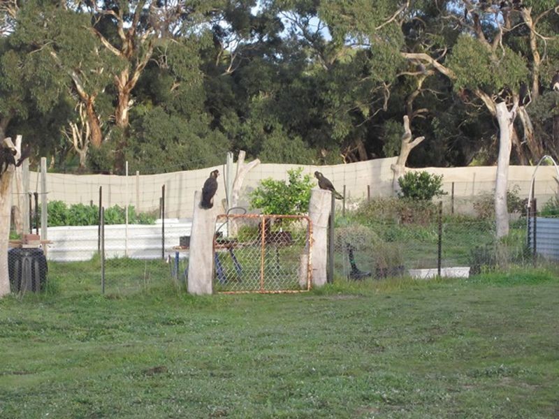 Finniss SA 5255