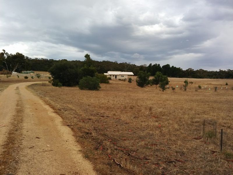 Finniss SA 5255