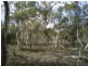 Finniss SA 5255