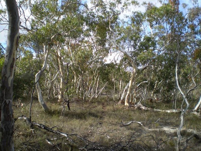 Finniss SA 5255