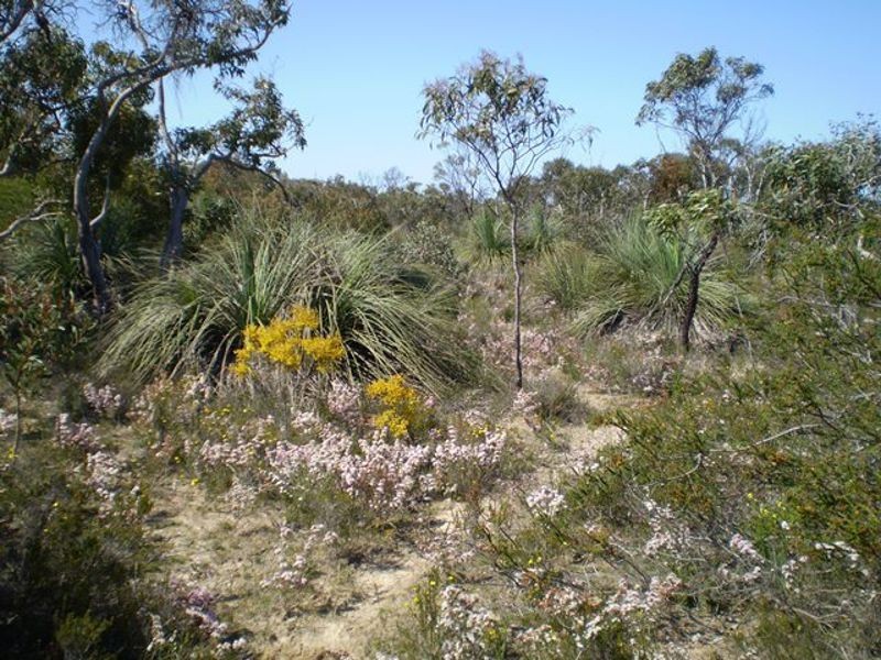 Finniss SA 5255