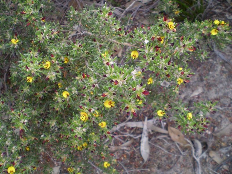 Finniss SA 5255