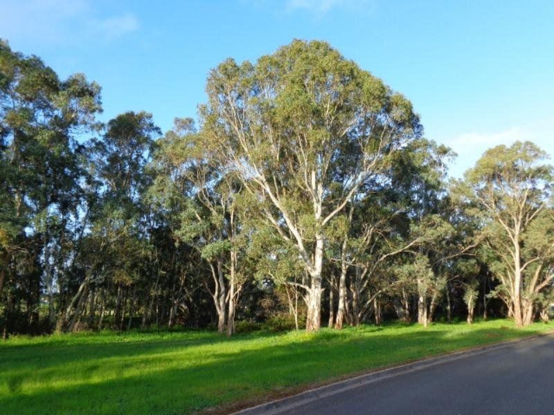 24 Fresian Drive, Strathalbyn SA 5255
