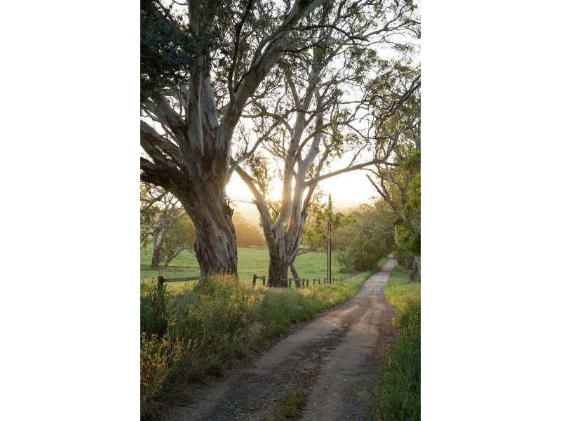 164 Flaxley Road, Mount Barker SA 5251