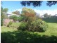 5 Wolf Avenue, Strathalbyn SA 5255