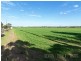 Lots 1 – 8 Hindmarsh Road, Murray Bridge SA 5253