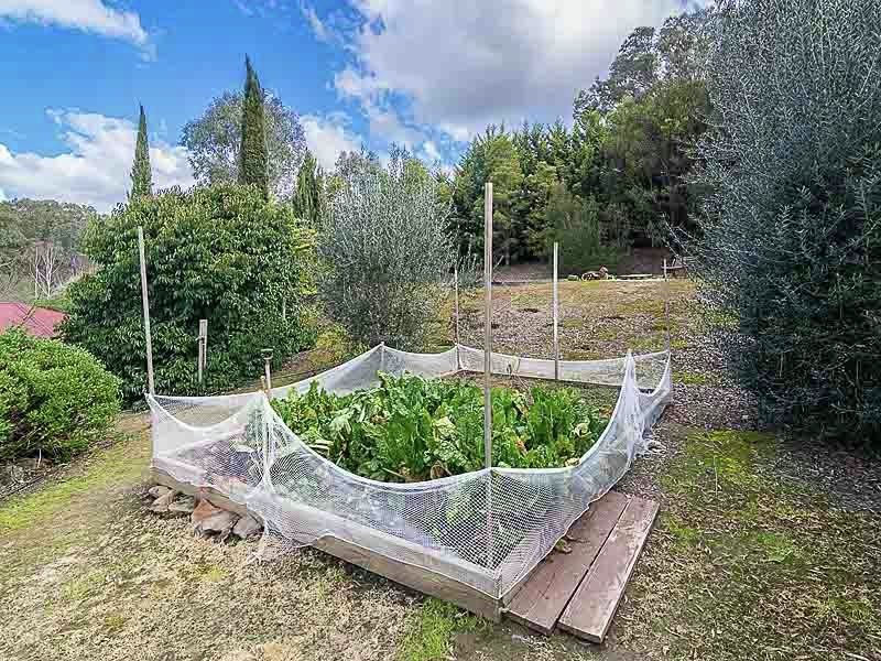 1 Lambert Court, Mount Barker SA 5251