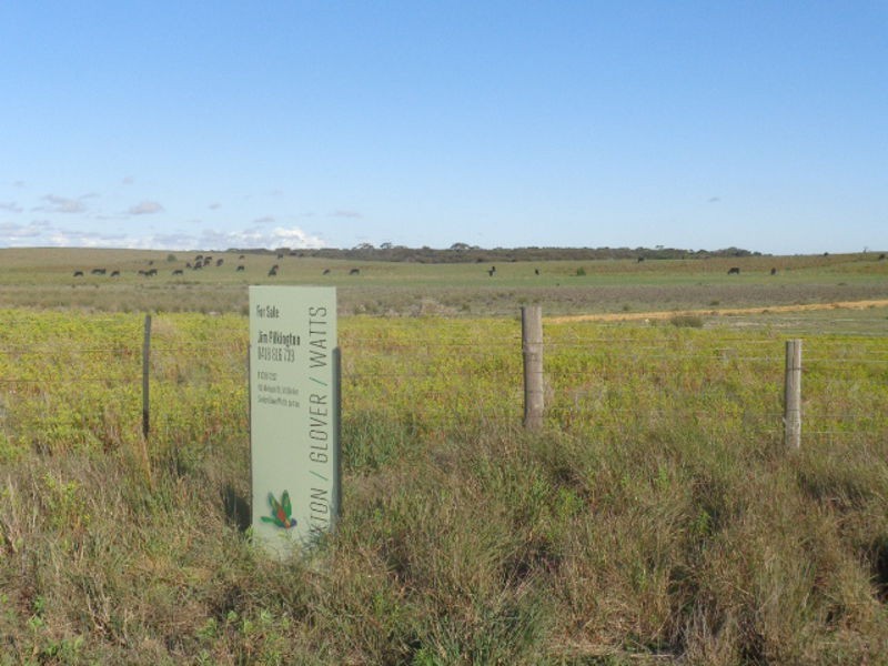 317 Nine Mile Road, Ashville SA 5259