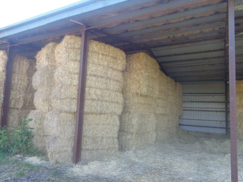 317 Nine Mile Road, Ashville SA 5259