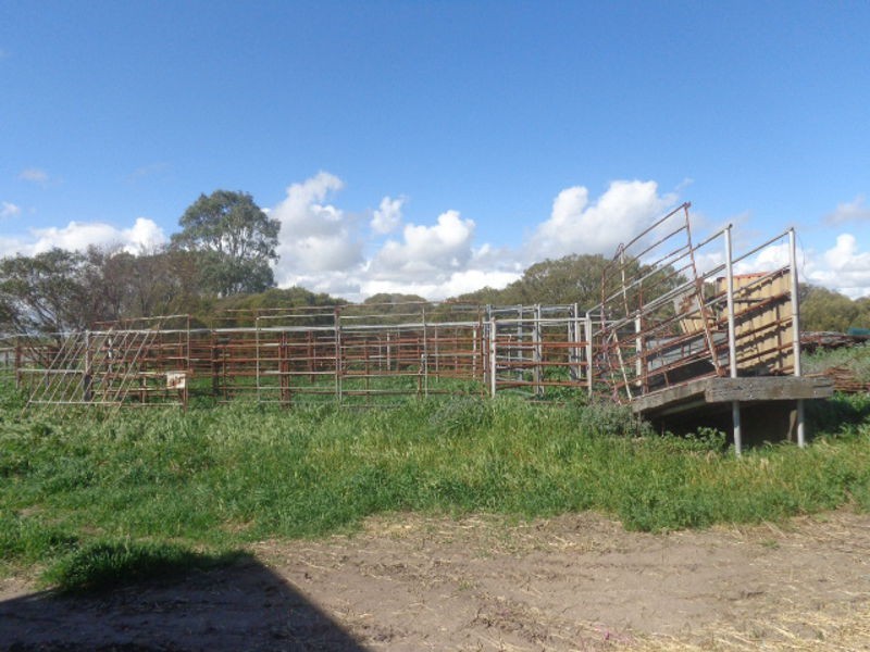 317 Nine Mile Road, Ashville SA 5259