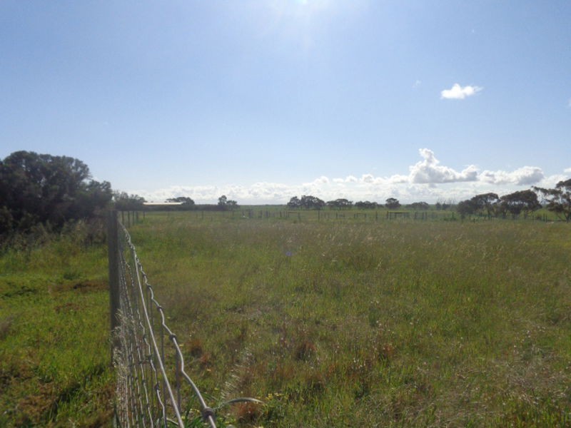 317 Nine Mile Road, Ashville SA 5259