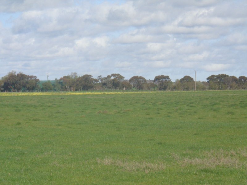 317 Nine Mile Road, Ashville SA 5259