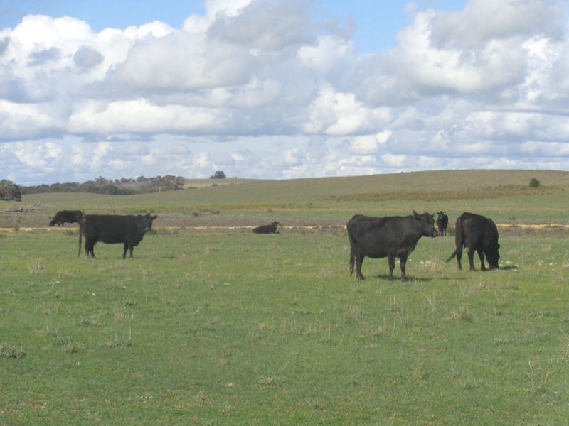 317 Nine Mile Road, Ashville SA 5259