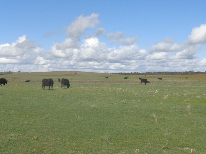 317 Nine Mile Road, Ashville SA 5259