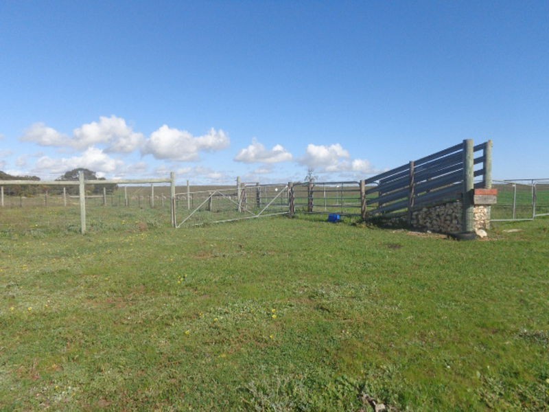 317 Nine Mile Road, Ashville SA 5259