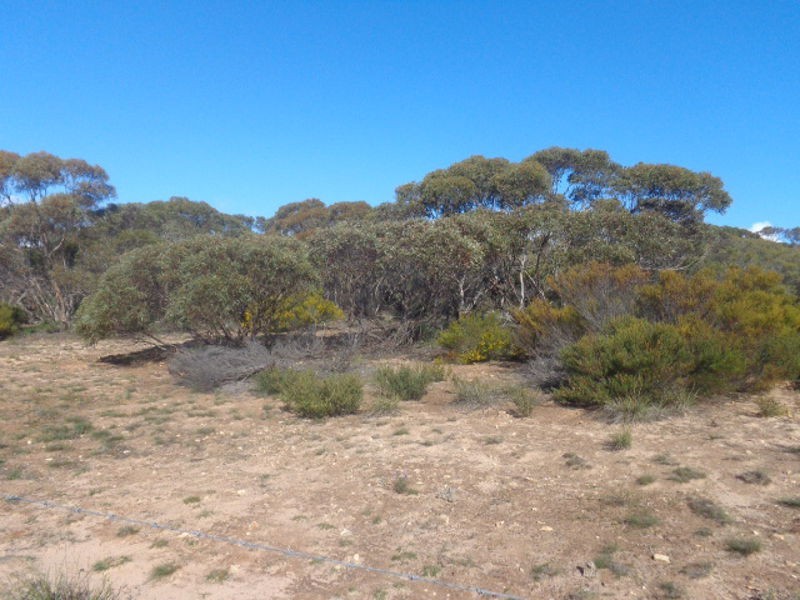 317 Nine Mile Road, Ashville SA 5259