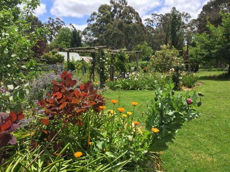 19 Victoria Street, Hahndorf SA 5245