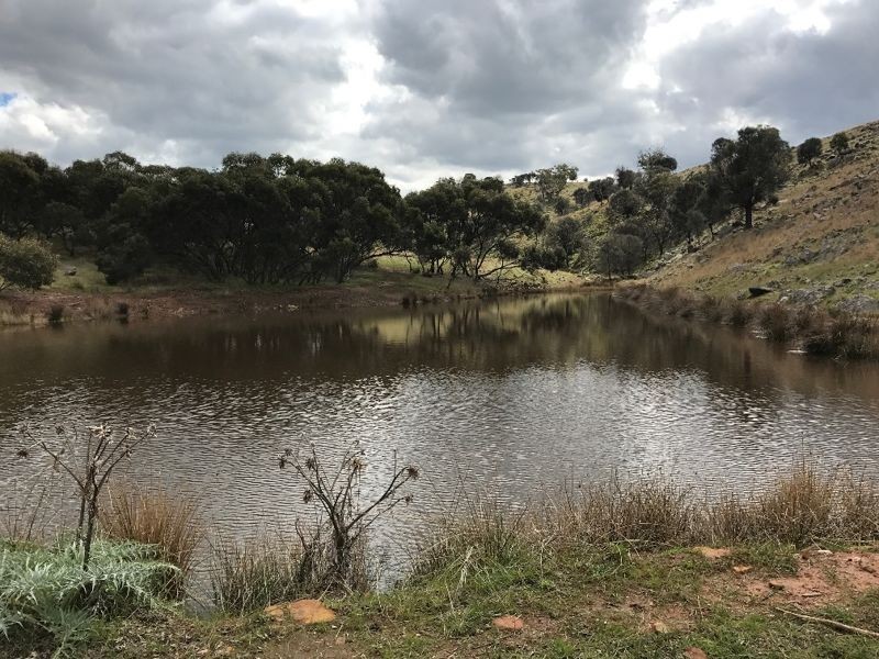 182 Rams Road, Rockleigh SA 5254