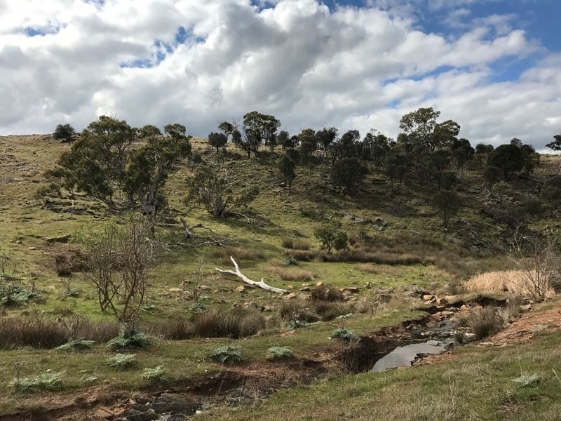 182 Rams Road, Rockleigh SA 5254