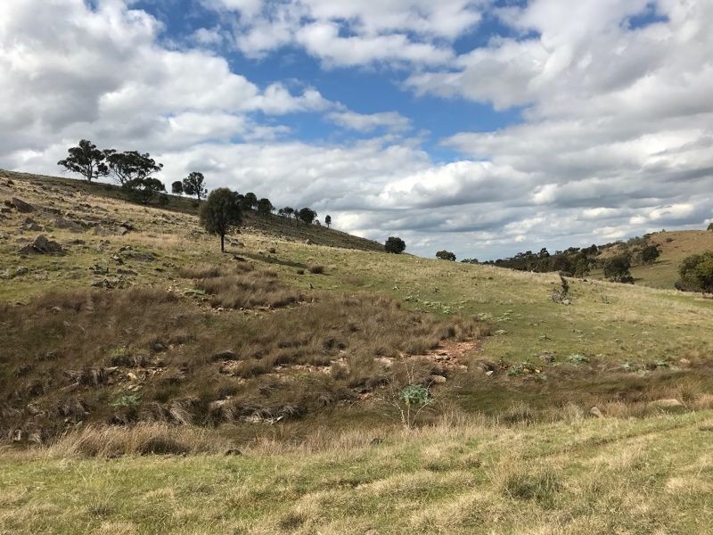 182 Rams Road, Rockleigh SA 5254