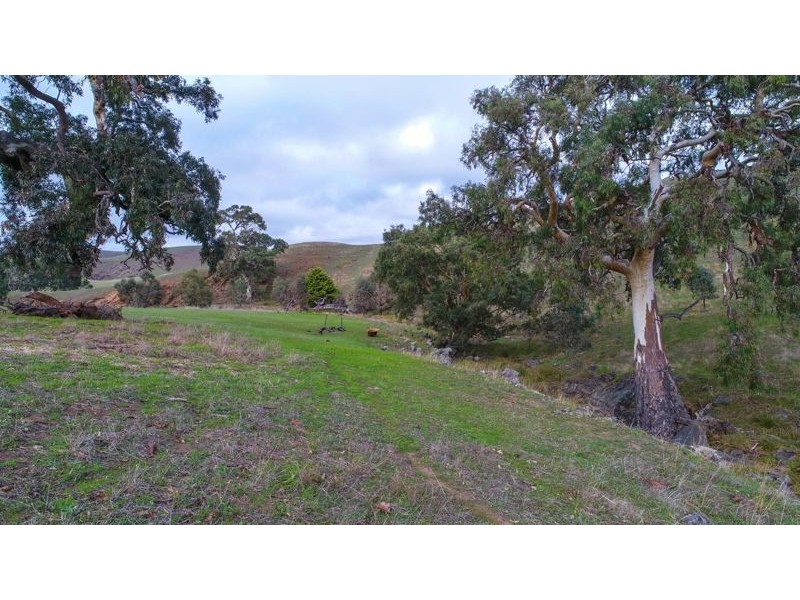 Lot 13 Back Callington Road, Mount Barker Springs SA 5251