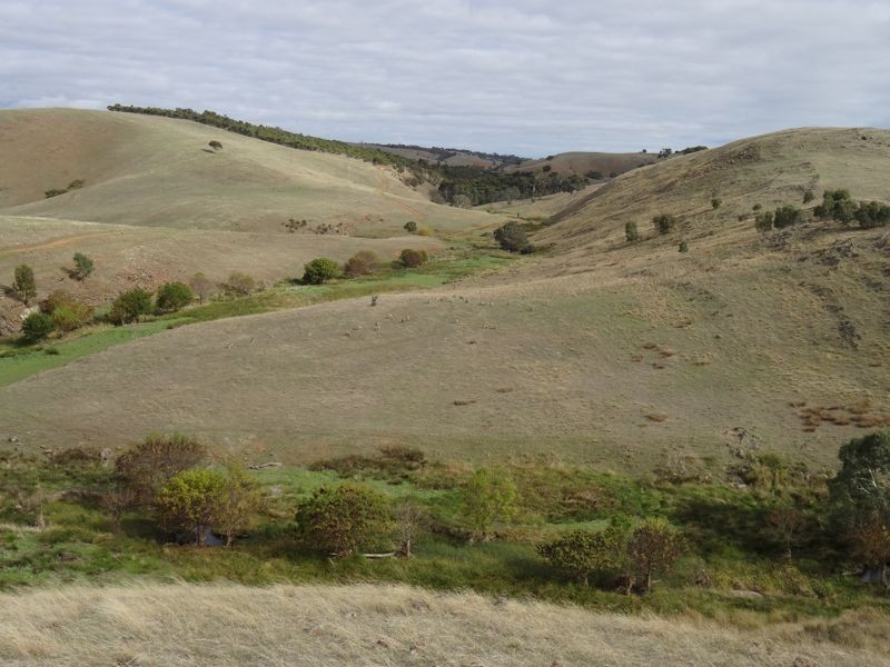 Lot 13 Back Callington Road, Mount Barker Springs SA 5251