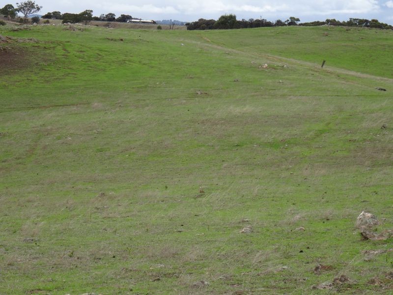 Lot 13 Back Callington Road, Mount Barker Springs SA 5251