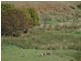 Lot 13 Back Callington Road, Mount Barker Springs SA 5251