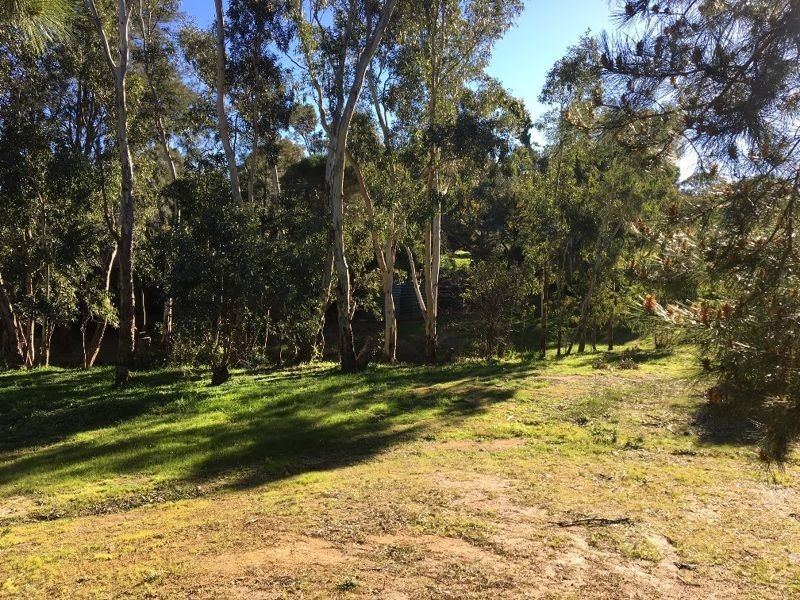 31A Luck Street, Macclesfield SA 5153