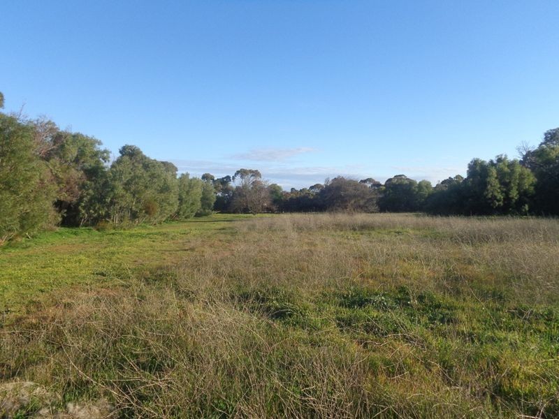 6 Lime Street, Strathalbyn SA 5255