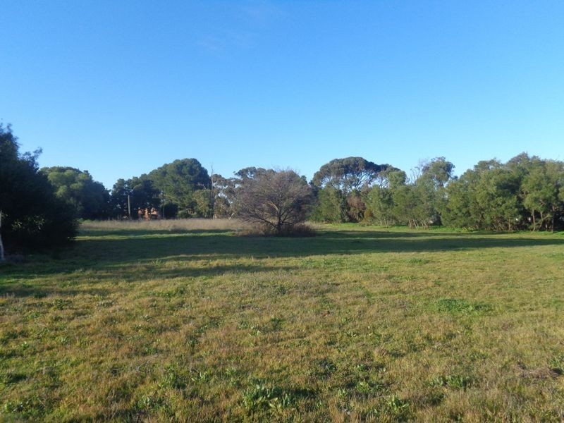 6 Lime Street, Strathalbyn SA 5255