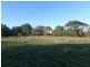 6 Lime Street, Strathalbyn SA 5255