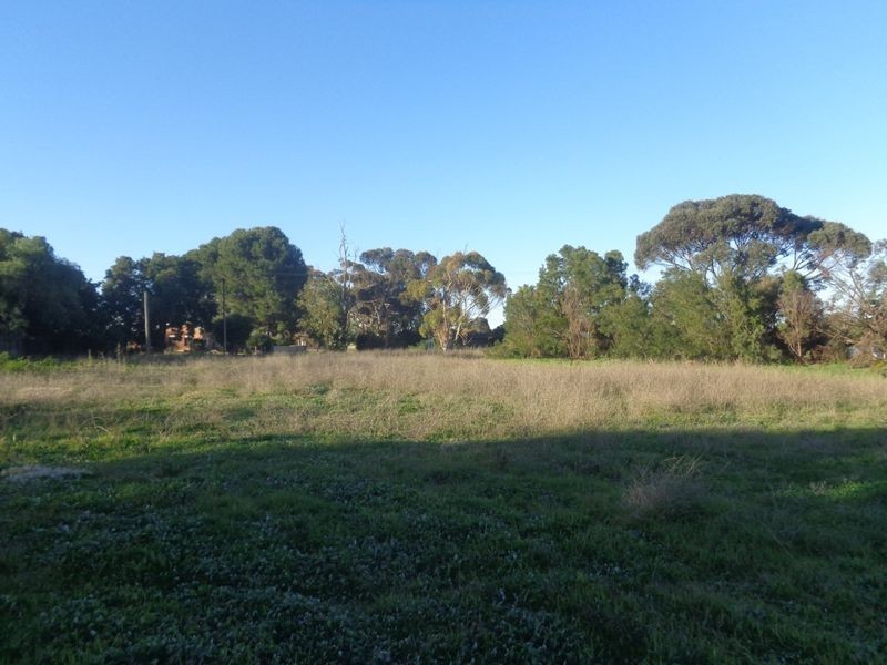 6 Lime Street, Strathalbyn SA 5255