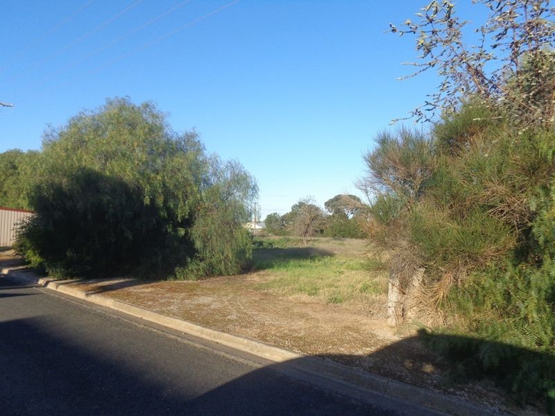 6 Lime Street, Strathalbyn SA 5255