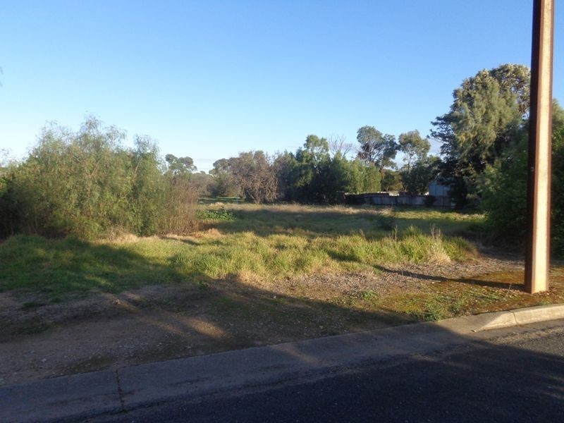 6 Lime Street, Strathalbyn SA 5255