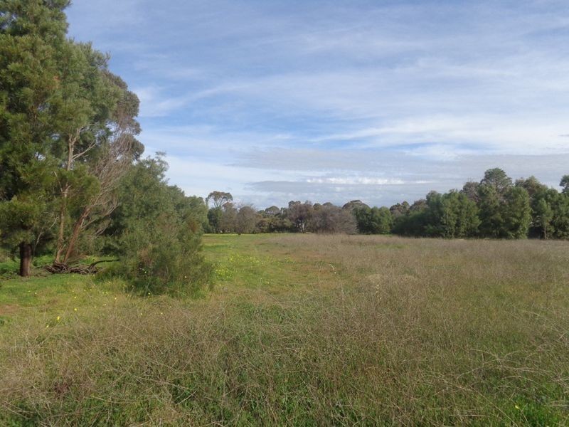 6 Lime Street, Strathalbyn SA 5255