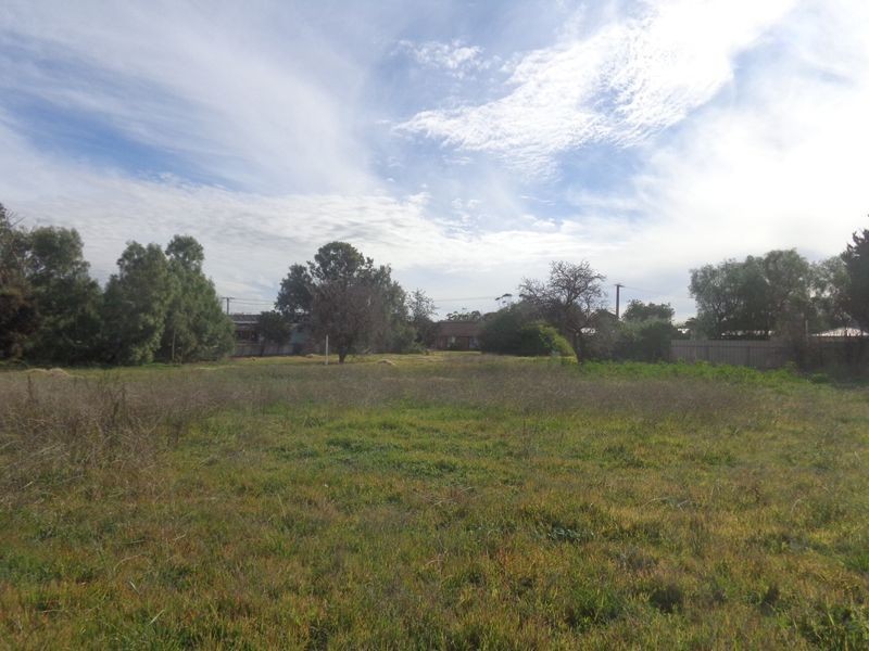 6 Lime Street, Strathalbyn SA 5255