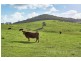 Lot 102 Springs Road, Mount Barker Springs SA 5251