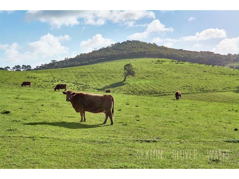 Lot 102 Springs Road, Mount Barker Springs SA 5251