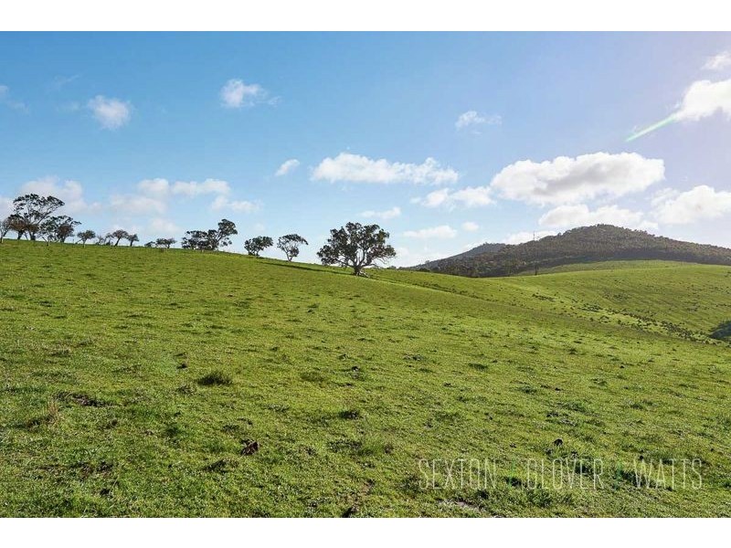 Lot 102 Springs Road, Mount Barker Springs SA 5251