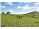 Lot 102 Springs Road, Mount Barker Springs SA 5251