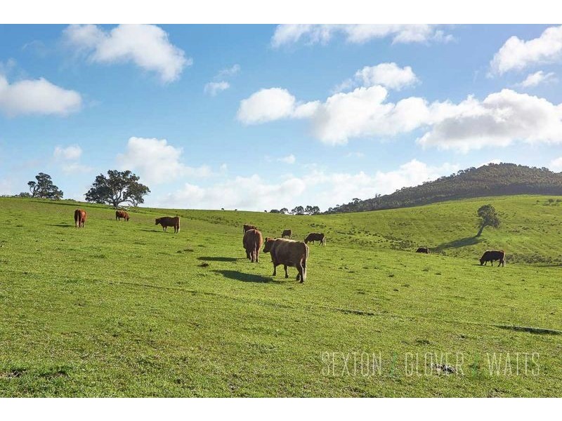 Lot 102 Springs Road, Mount Barker Springs SA 5251
