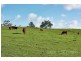 Lot 102 Springs Road, Mount Barker Springs SA 5251