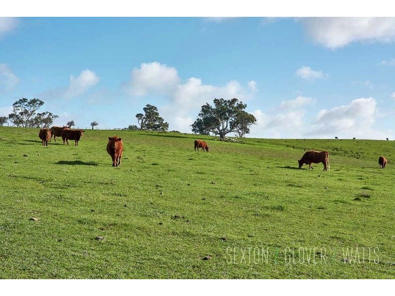 Lot 102 Springs Road, Mount Barker Springs SA 5251