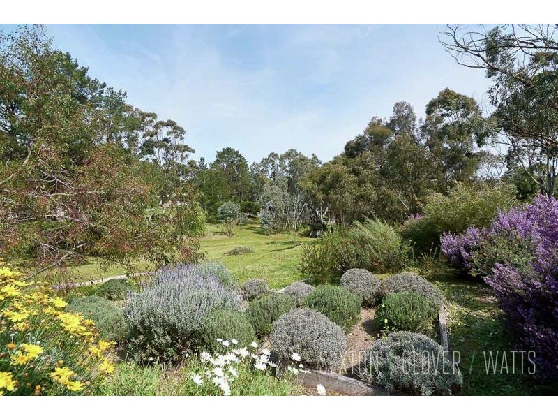 40 Lutterworth Street, Macclesfield SA 5153