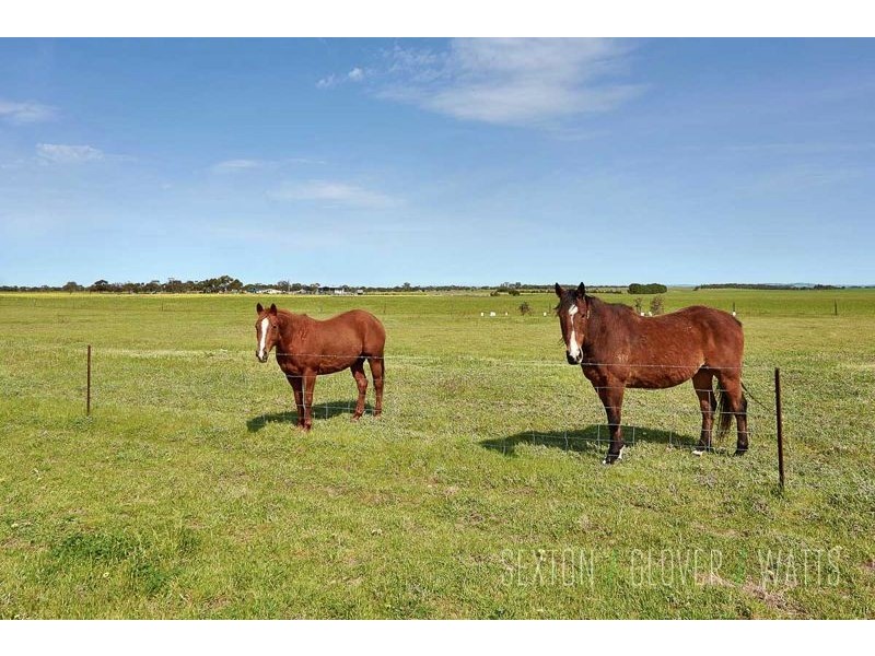 882 Milang Road, Angas Plains SA 5255