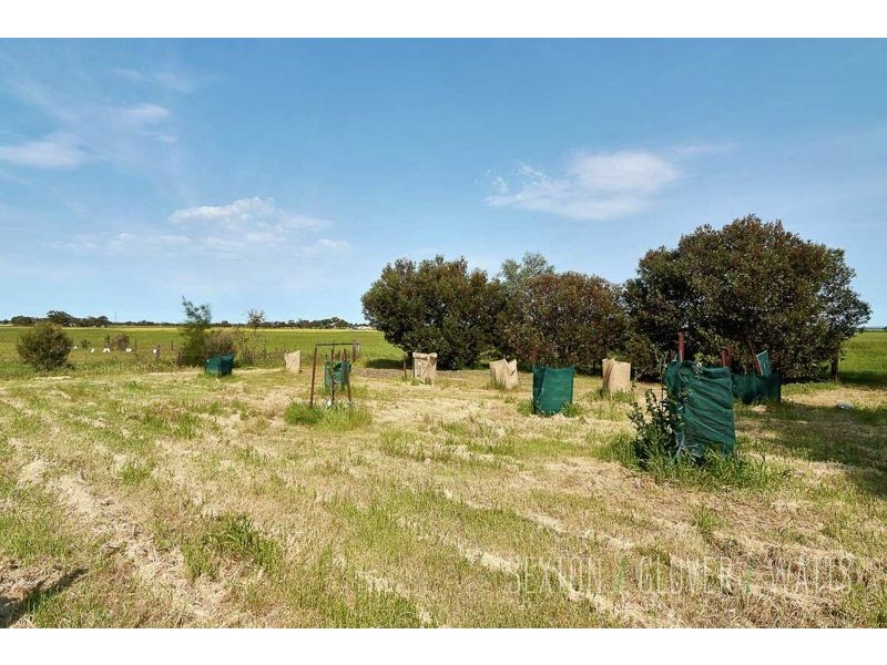 882 Milang Road, Angas Plains SA 5255